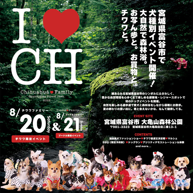 チワワファミリー IN 大亀森林公園（宮城県富谷市）