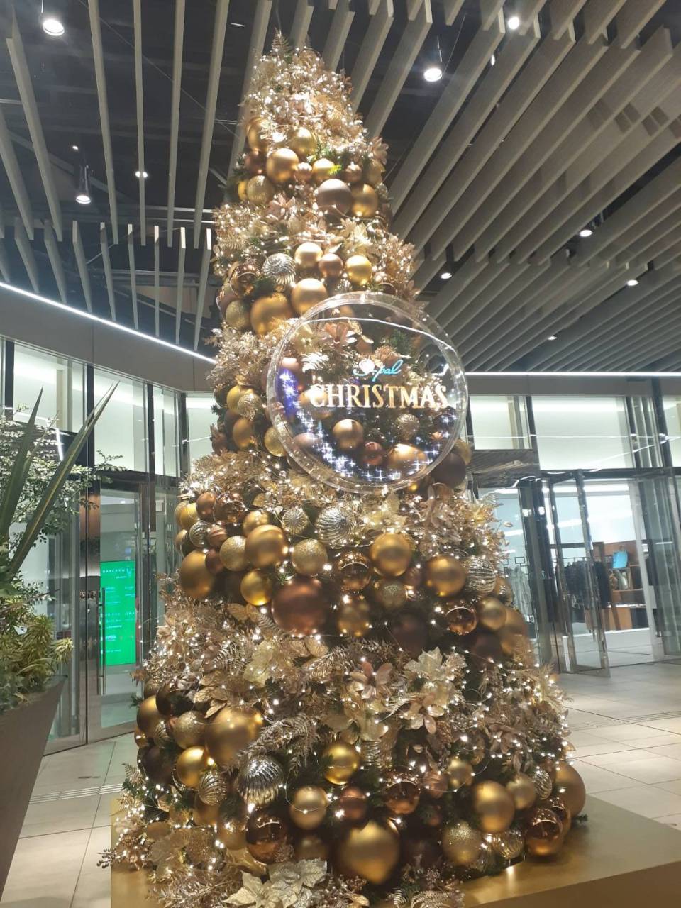 イルミネーションはイマジネーション