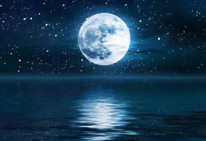 「月を見ていた」現状と進化を深掘り！